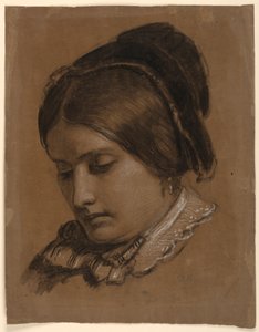 The Artist
