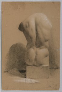 Male Torso From a Plaster Cast