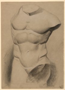 Male Torso From a Plaster Cast