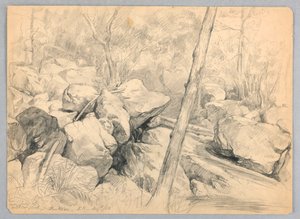Near Falls of Wildcat Brook, Jackson, New Hampshire by Daniel Huntington