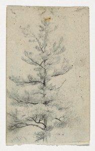 Sketch of a Tree