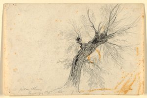 Willow on the Rhône, Geneva, Switzerland by Daniel Huntington