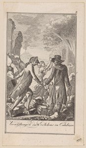 Plate 8 of 