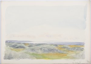 1916