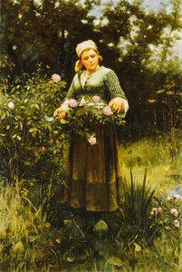 Gathering Roses