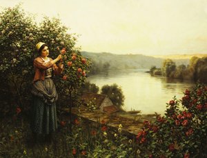 Summer Blossoms