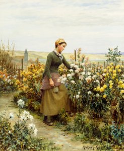 The Gardener