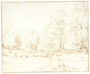 A Forest Road