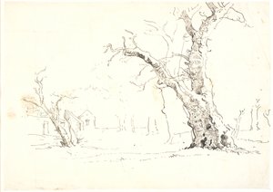 Landscape with Large Oak Trees, Some Houses to the Left