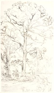 Study of Oak Trees by Dankvart Dreyer