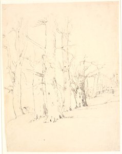 Study of a Row of Heavy Tree Trunks