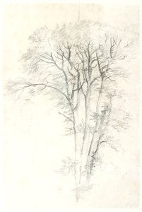 Tree Study by Dankvart Dreyer