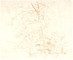 Tree Studies by Dankvart Dreyer