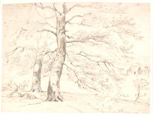 View Over a Landscape, in the Foreground Large Beech Trees