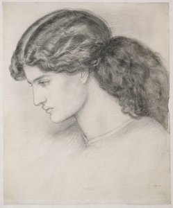 Head of a Woman