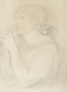 Study of Fanny Cornforth, 1863