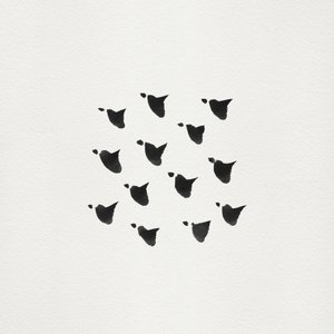 Abstract Flock Flight by Danushka Abeygoda