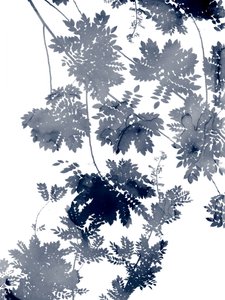 Deep Ecology 1 Bluegrey by Danushka Abeygoda