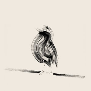 Elegant Ink Bird
