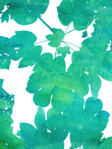 Vibrant Green Leaves by Danushka Abeygoda