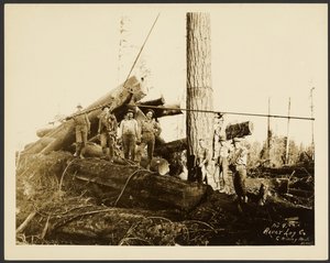 Loggers by Darius Kinsey