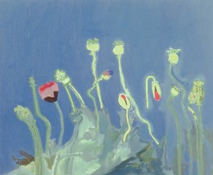 Poppyheads by David Alan Redpath Michie