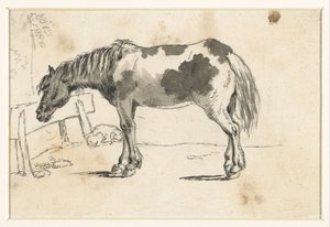 Standing Horse and a Lying Dog