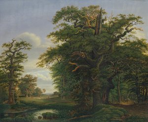 Oak Wood, 1847 by David Christopher Mettlerkamp