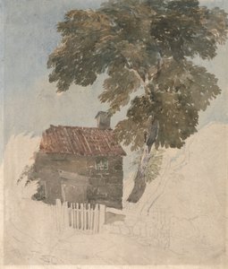 Cottage and Trees