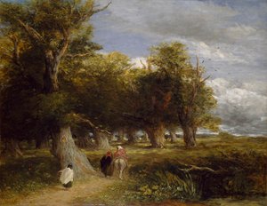 Skirts of the Forest by David Cox