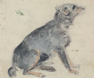 Study of a Dog