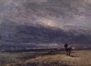 The Night Train by David Cox