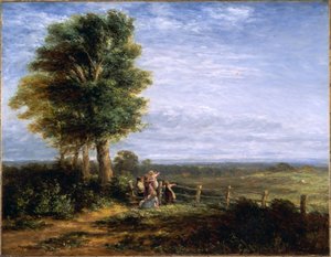 The Skylark