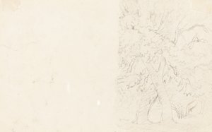 Trees by David Cox
