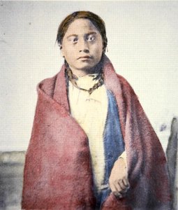 Crow Foot (coloured photo) by David Frances Barry
