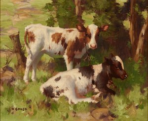 Calves In a Summer Landscape