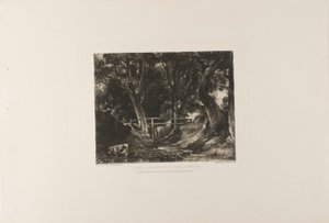 A Dell, Helmingham Park, Suffolk by David Lucas