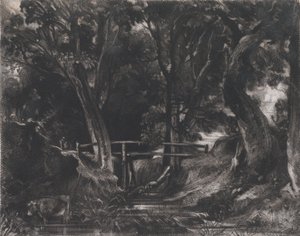 A Dell, Helmingham Park, Suffolk