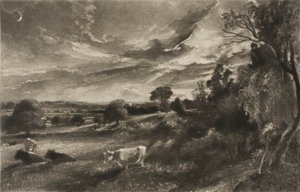 Summer Evening