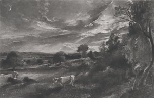 Summer Evening
