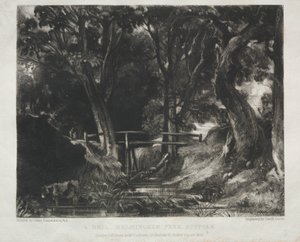 Various Subjects of Landscape, Characteristic of English Scenery from Pictures Painted by John Constable, R.A.: Dell in the Woods of Helmingham Park, Suffolk by David Lucas