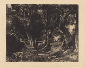 A Dell, Helmingham Park, Suffolk by David Lucas after John Constable