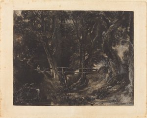 A Dell at Helmingham Park, Suffolk by David Lucas after John Constable