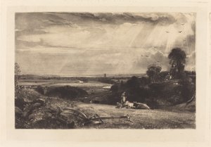Summer Morning