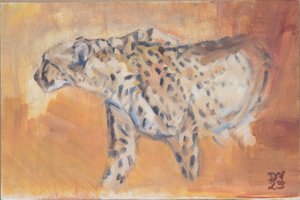 Cheetah, 2021
