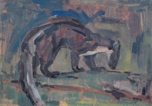 Pine Marten, 2023
