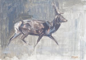 Red Deer Stag Running, 2023