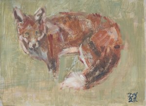 Red Fox
