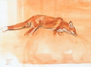 Red Fox, 2022