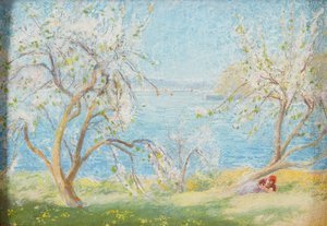 Spring Sunshine by David Murray
